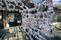 PXL_20250318_050739618