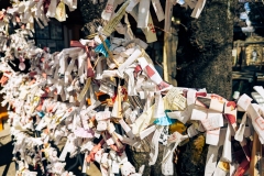 PXL_20250318_050751218