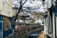 PXL_20250318_060338785