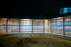 PXL_20250318_140134309