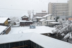 PXL_20250318_225008034.MP_