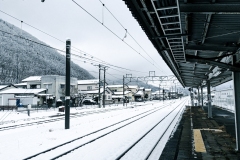 PXL_20250319_014036821