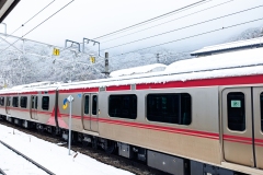 PXL_20250319_014203005