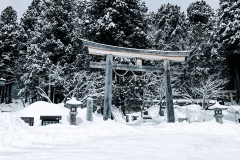 PXL_20250319_033529265