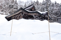 PXL_20250319_034145455