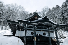 PXL_20250319_034208837