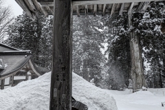 PXL_20250319_034332976