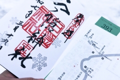 PXL_20250319_035245242