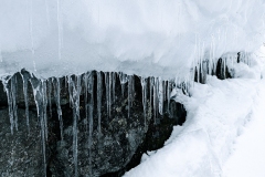 PXL_20250319_041146845.MP_