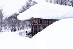 PXL_20250319_041246490