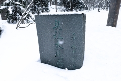 PXL_20250319_043306114