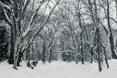 PXL_20250319_043445656