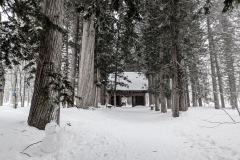 PXL_20250319_044623017