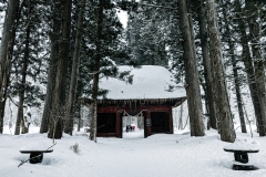 PXL_20250319_044651004