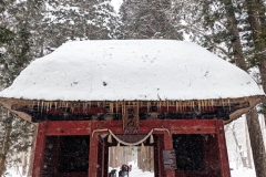 PXL_20250319_044708863.MP_