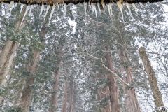 PXL_20250319_044752283