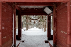 PXL_20250319_044809187.MP_