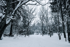 PXL_20250319_050104871