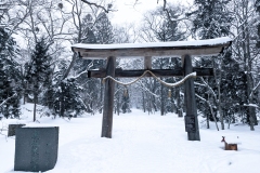 PXL_20250319_050249574.MP_