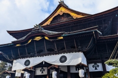 PXL_20250319_062903312